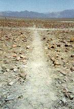 Nazca Lines - A Closer View