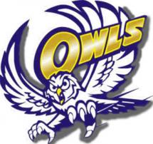 The Reagon County Owls