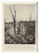 Trenches and Damage at Verdun