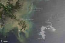 Deepwater Horizon - Oil Slick Moves Toward Louisiana Coast
