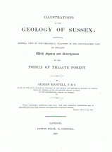 Illustrations of the Geology of Sussex - by Gideon Mantell