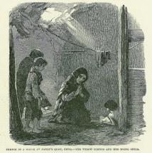 Potato Famine - Lack of Food and Shelter