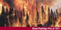Peshtigo - Wooded Areas Burned
