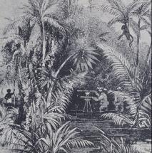 Drawing - Scene at the Isthmus of Panama