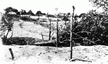 Bataan - Fence Enlargements