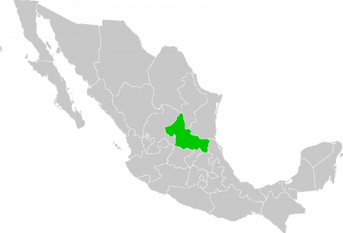 San Luis Potosi - Map Locator