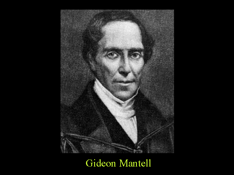 gideon mantell and the discovery of dinosaurs