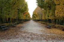 Schoenbrunn - View of Surrounding Area