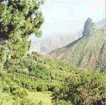 Saint Helena - Napoleon's Exile