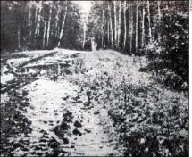 Romanov's Shallow Grave Site