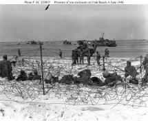 German Prisoners of War - Captured at Utah Beach