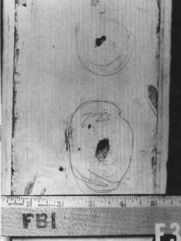 Exploded View of the Bullet Holes