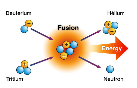 nuclear fusion vs fission convert matter into energy