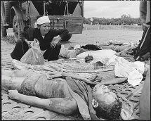 Vietnamese Casualties