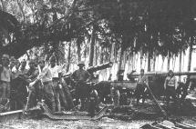 Japanese Troops on Bataan