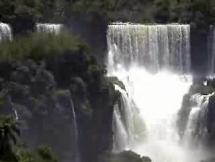 Iguazu Falls - Flora and Fauna