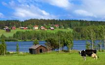 Vasterbotten Village - Area of Stieg Larsson's Childhood
