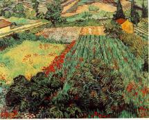 Poppies - Vincent's Early June, 1889 Painting