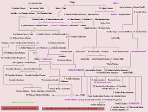 Geneology of Roman Emperors
