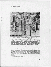 Holocaust Revisited: CIA Report, Page 15