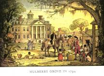 Mulberry Grove Plantation and the Cotton Gin