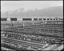 Farming at the Relocation Center