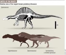 Spinosaurus Size