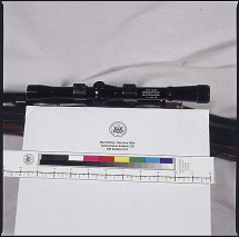 Mannlicher-Carcano Rifle Scope Close-up