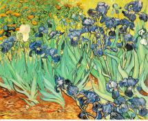 Irises - $53.9 Million