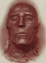 Seti I, Father of Rameses II - Mummified Remains