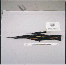 Oswald's Rifle Scope