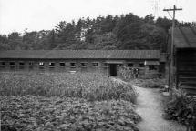 Ofuna - Location of Secret POW Camp