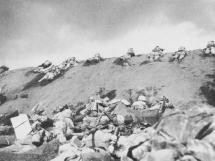 Marines in the 5th Division at Iwo Jima