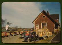 Trucks Outside a Starch Factory - Caribou, Maine