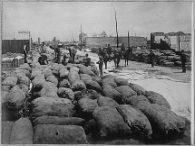 Bags of Potatoes for Relief Supplies