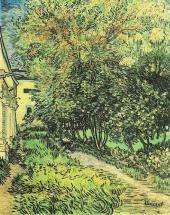 Garden at Hospital - Vincent's Painting