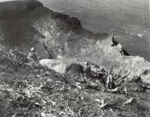 Marines Looking Inside Mount Suribachi's Crater
