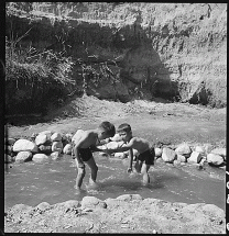 Children Playing in Mountain Creek