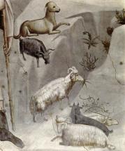 Scenes from a Shepherd's Life